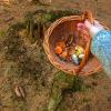 Hunting for mushrooms for dinner is a popular Czech pastime