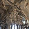 A very unique chandelier that almost looks like lace