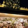 The market at Schönbrunn Palace had a tiny Christmas scene in front of the big tree