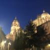 A pretty view of the cathedral at night