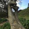 This is the only statue of an animal that I saw; these look like giraffes