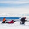 Photographing wildlife on the ice