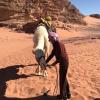 A white camel in the Wadi Rum desert!