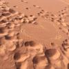 The sand had many beautiful, different colors, and we created designs