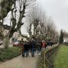 The walk around Burgundy was lined with beautiful, old trees and buildings 