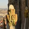 The view from the Tower of Joy in Barcelona