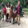 We paid $2 to take pictures with these alpacas near the Peguche waterfall