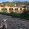 Duffy takes in the view of Heidelberg and the Neckar River