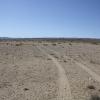 Self-made dirt roads are common throughout the Mongolian countryside
