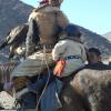 Father and Son Eagle Hunters