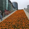 Entrances to the subway are covered in flowers!