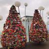 I heard these trees glow at night because of the glow-in-the-dark padlocks