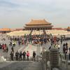The Forbidden City is a collection of palaces and temples 
