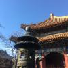 The Lama Temple is another major landmark in the city and is a temple complex built by some of the later Chinese emperors