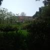 Nature is a big part of Jaffa's history