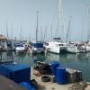 Many boats docked in Jaffa Port