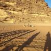 There are many camels in Wadi Rum