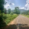 A long rural road I walked from Adéta to Tsiko- can you spot the termite mound on the left?