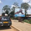 The official language of Togo is French, so most signs and ads are in French