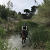 You can only go through the park by bike, on horseback or with a tour company