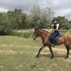 In Spanish, horse is "caballo" and the rider is called "el/la jinete"
