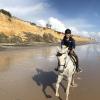 I got to gallop along a long stretch of beach along the Atlantic Ocean