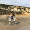 The beach, Matalascañas, is famous for its enormous sand dunes which look more like mountains