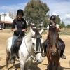 The town is made for horses; it has only dirt roads and hitching posts so you can ride into town and grab a drink or a meal