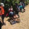 Using "snowshoes" to walk across snow at an English camp