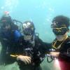 Learning to dive with my school's dive club