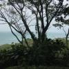 View of the ocean from the highest point on the farm