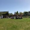 When it's sunny, every Dutch person goes outside to eat lunch