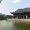 There are many buildings throughout the palace; how about we take a break and enjoy the view across the pond?