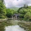 Visiting a Buddhist temple in Busan 