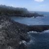 When Hallasan, an active volcano on the island, erupted thousands of years ago, it created Jusangjeollidae, and the waves helped create the hexagonal shapes in the rocks you can see here