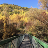Autumn in Arrowtown is full of colorful leaves!