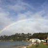 Full rainbow after a light shower on Stewart Island