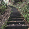 Tread carefully on the stairs so as not to disturb any native wild life!