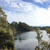 The water by Stewart Island is very clear