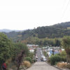 The world's steepest street in Dunedin