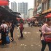 Fruit market full of green mangos, pineapples and bananas