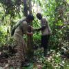 I am setting up a trail camera in the forest with the aid of Bertrand Abodo who is a student from the Higher Institute of Environmental Sciences 