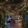 The first room in the SEA LIFE Busan Aquarium was decorated with beautiful lights