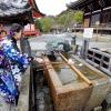 A girl in a kimono - kimonos are extremely expensive, and many people can only afford to rent them for special occasions