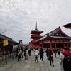 The Kiyomizu-dera temple in Kyoto