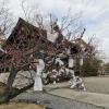 o-mikuji, or pieces of paper tied to trees, shrines, etc. for a wish to come true