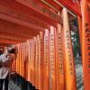 Famous gates of the Fushimi Inari Shrine in Japan