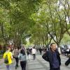 The entire path and area to the mausoleum used to be owned by Sun Yat-Sen