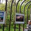 The path toward the mausoleum features photos taken in different time periods