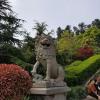 Lion statues act as guardian spirits